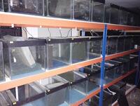 12x18 tanks 30 tanks from fish house closure