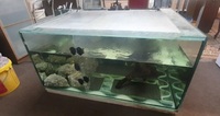 4/3/2 fish tank with sump