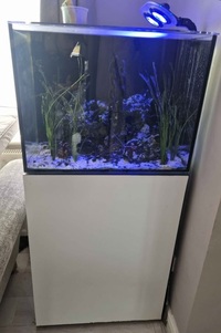 Fish tank for sale