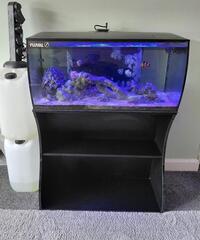 Fluval Flex 123l Full marine setup with stand