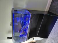 Fluval Flex 123l Full marine setup with stand