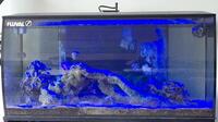 Fluval Flex 123l Full marine setup with stand