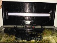 Fluval Flex 123l Full marine setup with stand