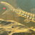 Tiger Shovel Nose Catfish