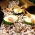 Albino Bristlenose Group of Six Young Shortfin Ancistrus Pleco for £20