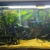 Closing down tanks: Equipment & Aquarium for sale