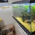 Closing down tanks: Equipment & Aquarium for sale