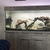 5ft x24inch x16inch tank Comes with external filter aswell as biological sponge 