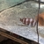 Frontosa // 7ft ND aquatic TANK..