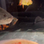 Pearl hybrid ray and fish for sale