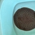 Stingray pup for sale