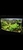 Tropical fish for sale Corys guppys tetras etc reduced