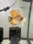 5 discus for sale - north London