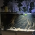 Large Aquarium