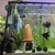 100 L tall tank