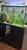 100 L tall tank