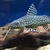 9 inch Synodontis Angelicus catfish