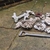 large batch of coral rock for sale - DRY no diseases £50 London surrey