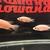 Rare Parachromis Dovii morphs wolf cichlid