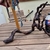 Bogwood for sale
