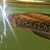 Snakehead Channa Asiatica 12 inches - £40 ono