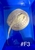 Golden Base Albino X Albino Pearl Female Stingray Pup