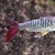 Red Tail Chalceus