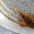 L397 Tiger Plecos X2 sub adults unsexed £40 each