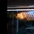 AAA SHOW GRADE MALAYSIAN GOLDEN AROWANA