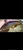 AAA SHOW GRADE MALAYSIAN GOLDEN AROWANA