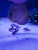 Ung Seng Lip Malaysian Discus for sale