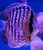 Ung Seng Lip Malaysian Discus for sale