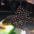 Plecos- angels