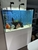 Braceless ND Aquarium - full setup
