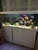 Jewel 450 white fish tank and cabinet.