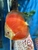 18 Top Quality Discus