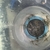 Micro brittle starfish marine clean up crew