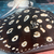 Adult Stingrays - BD,Golden Base & Albino Pearl
