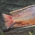 Male malawi for sale