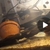 FRY ONLY FREE ......Polar blue cichlids
