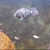 FRY ONLY FREE ......Polar blue cichlids