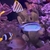 Adult male Lamarck Angelfish