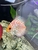 High quality discus for sale 5 inch