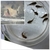 Group of Corydoras x 60