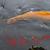 Koi for sale