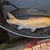 Koi for sale