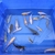 5-6 inch koi for sale