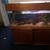 large TANK & FISH