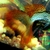 True Strains Line Bred Guppy ; 3 Pairs £20 Can Deliver