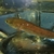 Baby emperor snakehead, red burrito 4 inches bargain £20